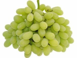 grapes