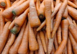 carrot