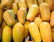 papaya