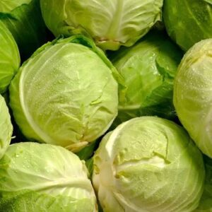 cabbage