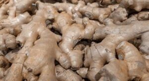 ginger