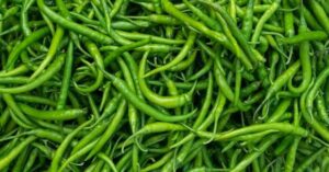green chilli